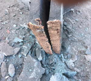 CCL Double Beam Severence